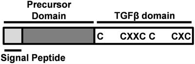 Evolution, Expression, and Function of Gonadal Somatic Cell-Derived Factor